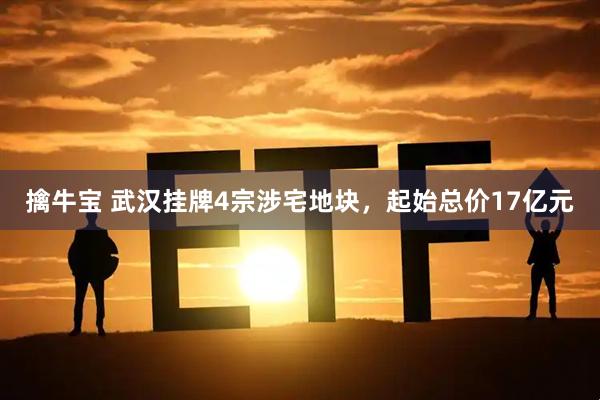 擒牛宝 武汉挂牌4宗涉宅地块，起始总价17亿元