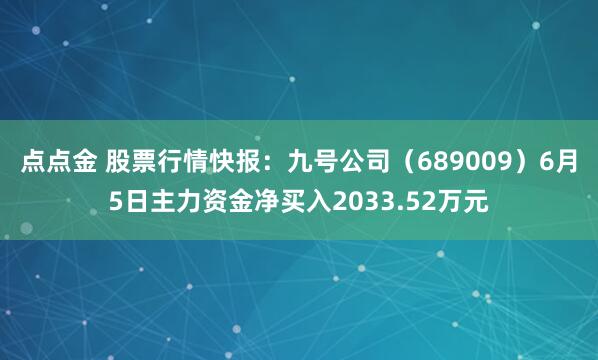 点点金 股票行情快报：九号公司（689009）6月5日主力资金净买入2033.52万元