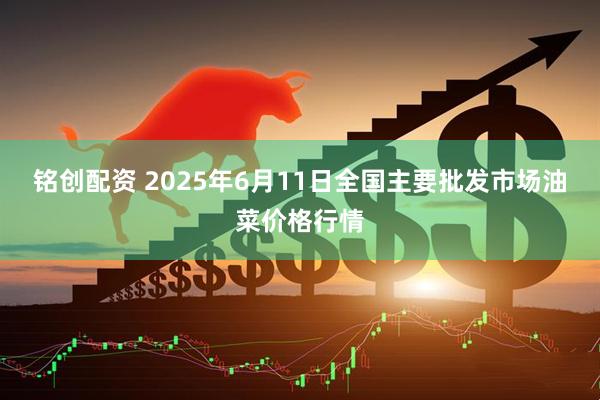铭创配资 2025年6月11日全国主要批发市场油菜价格行情