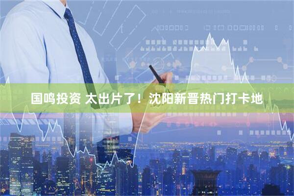 国鸣投资 太出片了！沈阳新晋热门打卡地