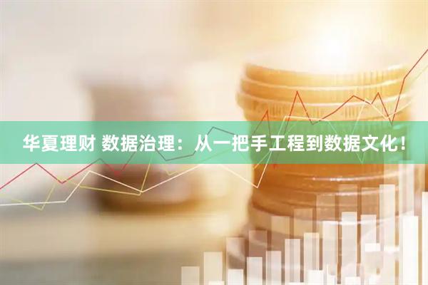 华夏理财 数据治理：从一把手工程到数据文化！