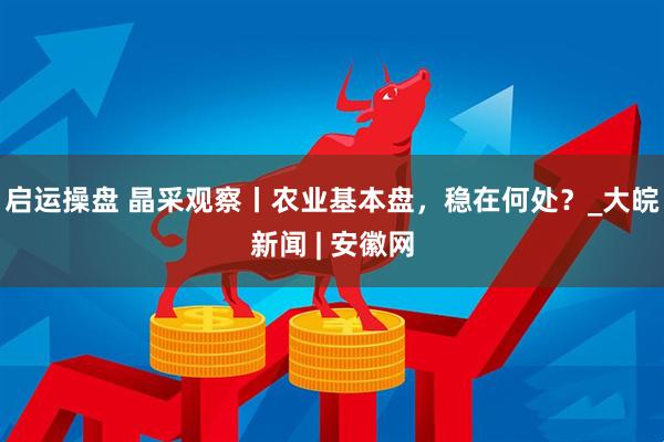 启运操盘 晶采观察丨农业基本盘，稳在何处？_大皖新闻 | 安徽网